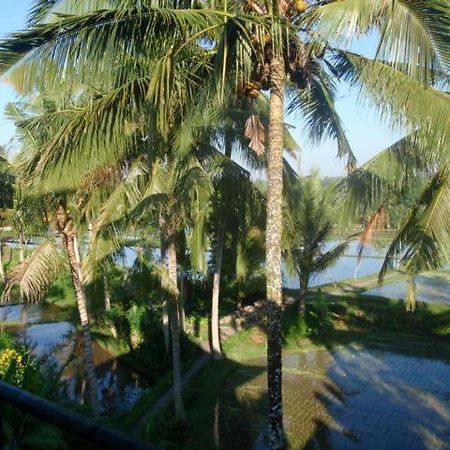 Toko Toko Bungalows Убуд Екстер'єр фото